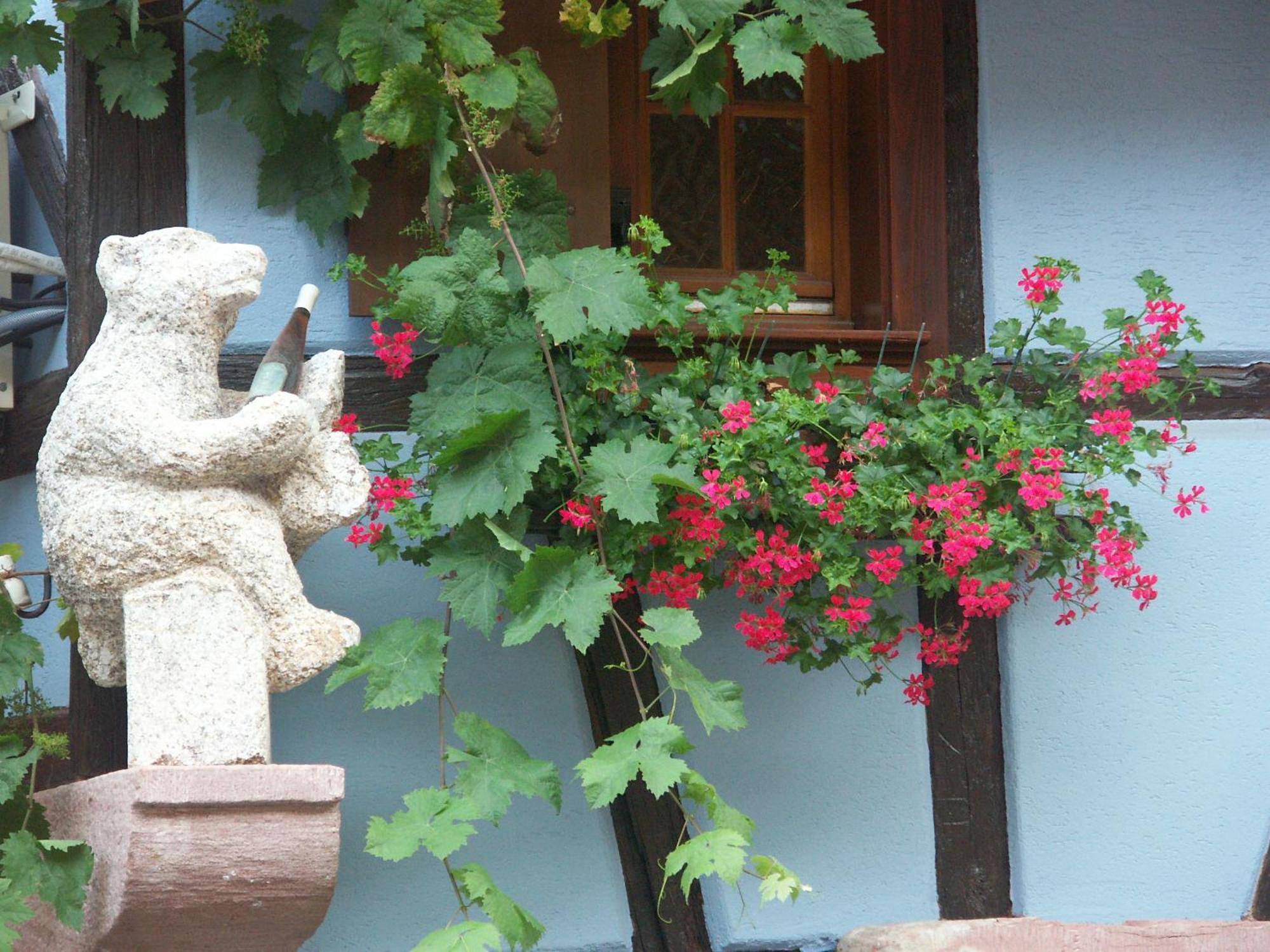 Chambres D'Hotes Ruhlmann Dambach Екстериор снимка